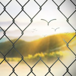 Metal gate with broken wires flying away like birds